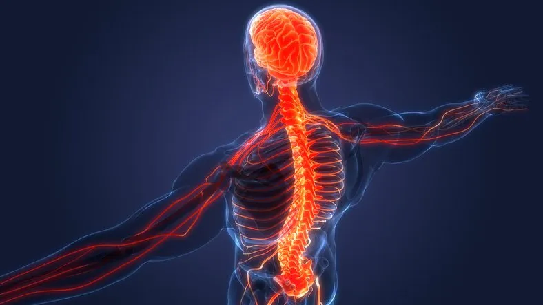 Apex Chiropractic reception area