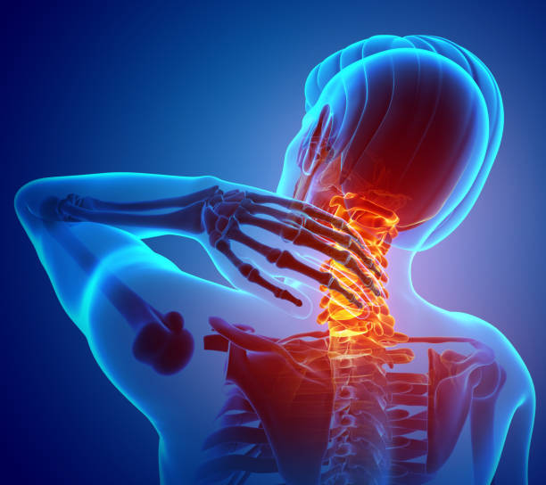 Apex Chiropractic reception area